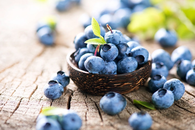Reasons to Eat Blueberries Each Day