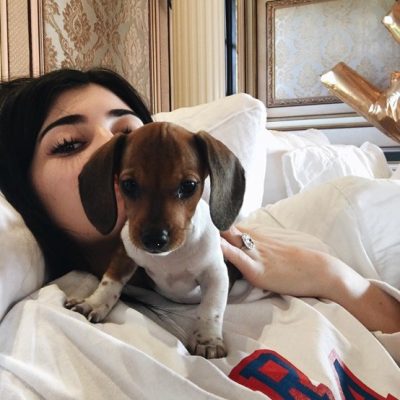 Kylie Jenner Is Totally Obsessed with Her New Pup Penny