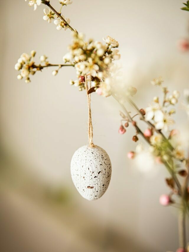 Best Easter decorations for 2022