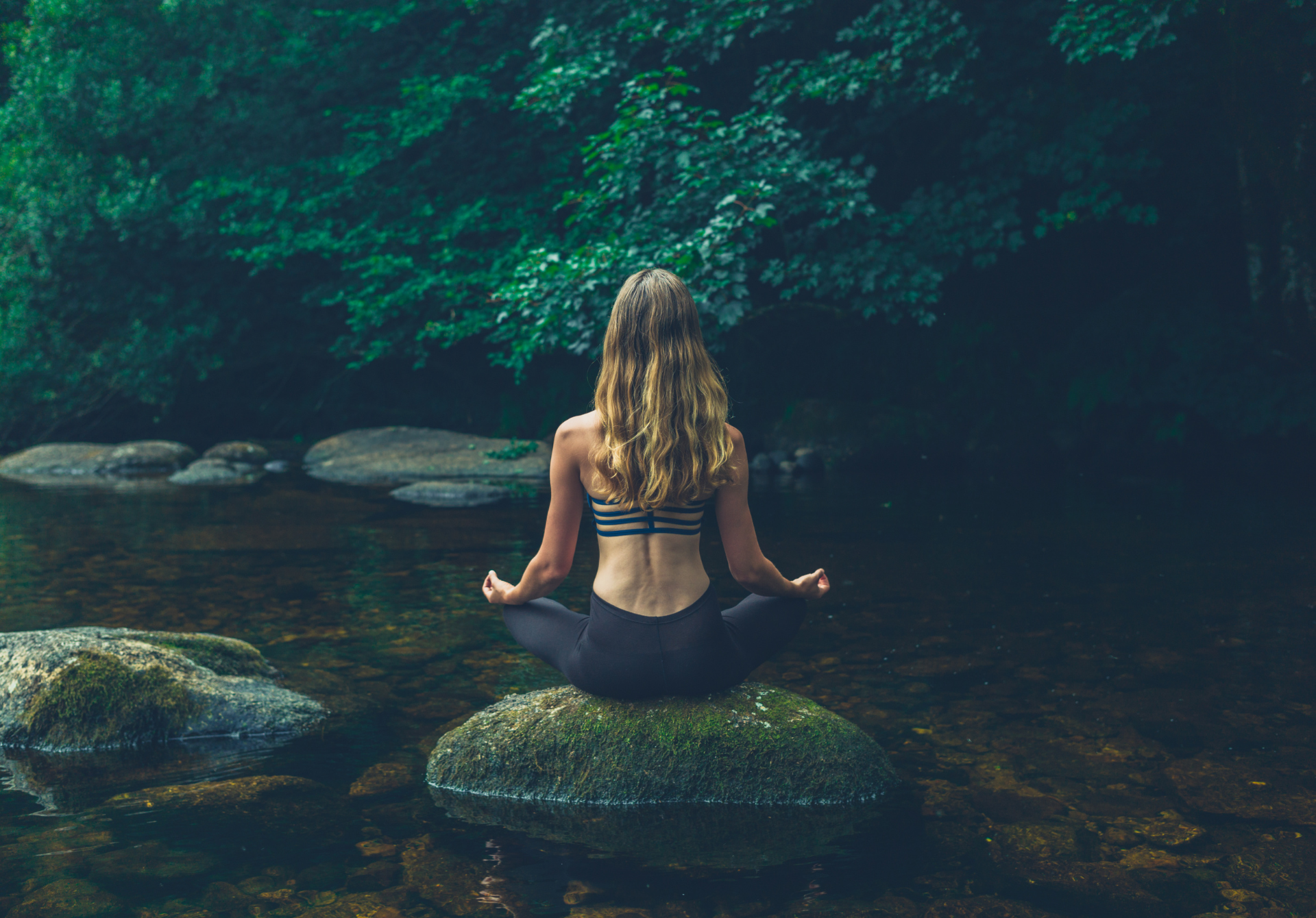 Embracing Mindfulness and Meditation