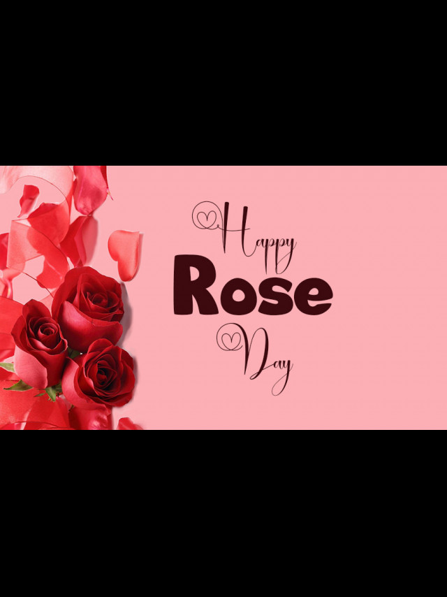 100+ Rose Day Wishes, Messages and Quotes
