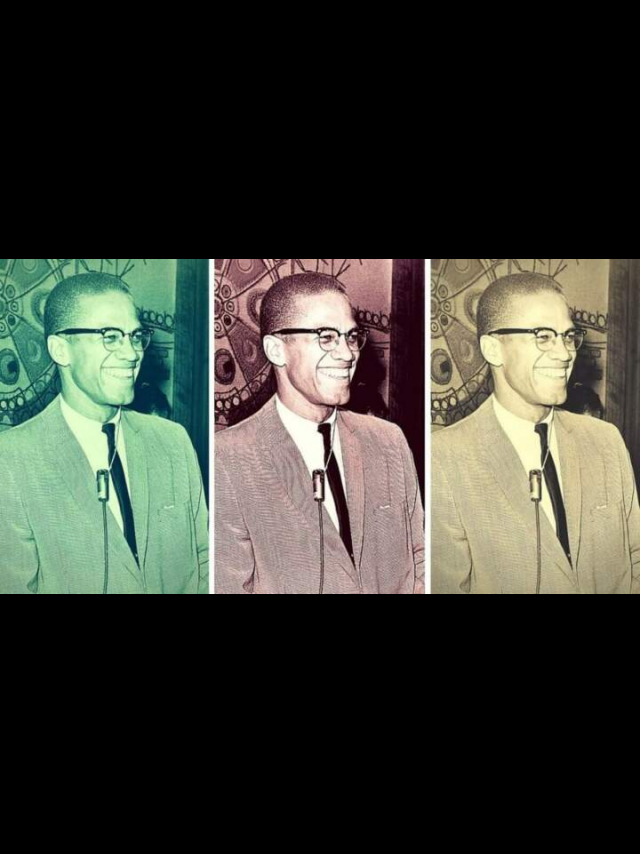 105 Malcolm X Quotes on Equality and Freedom